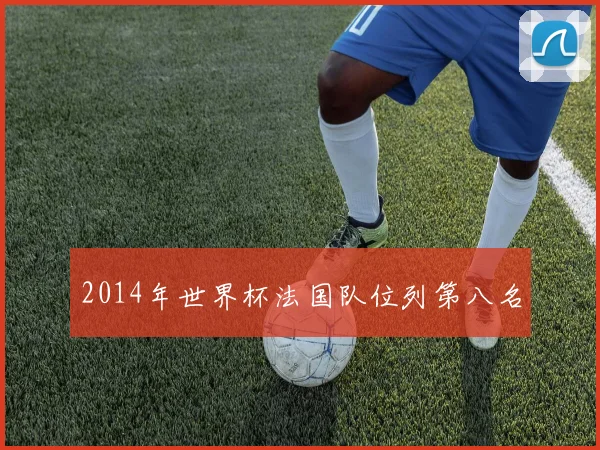2014年世界杯法国队位列第八名